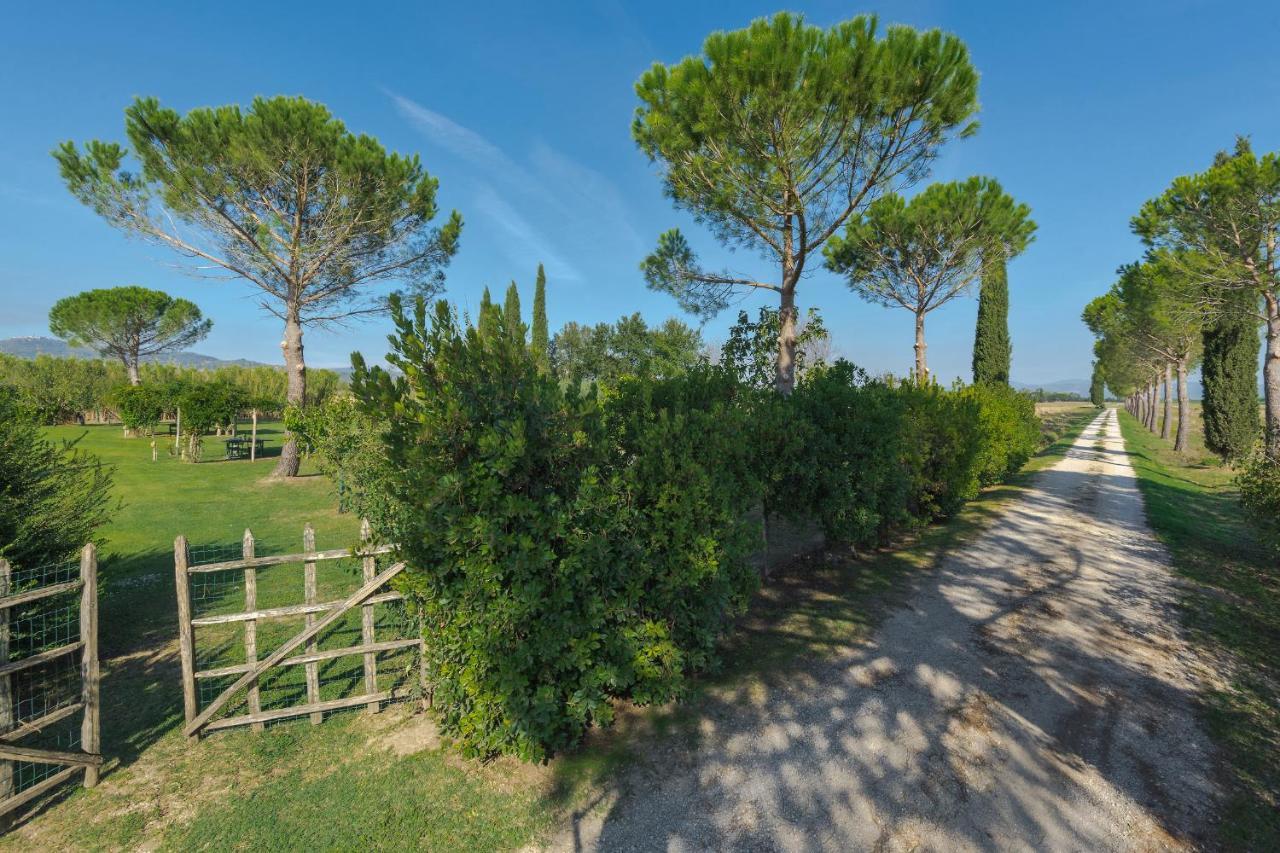 Apartment Bandinelli Braccagni